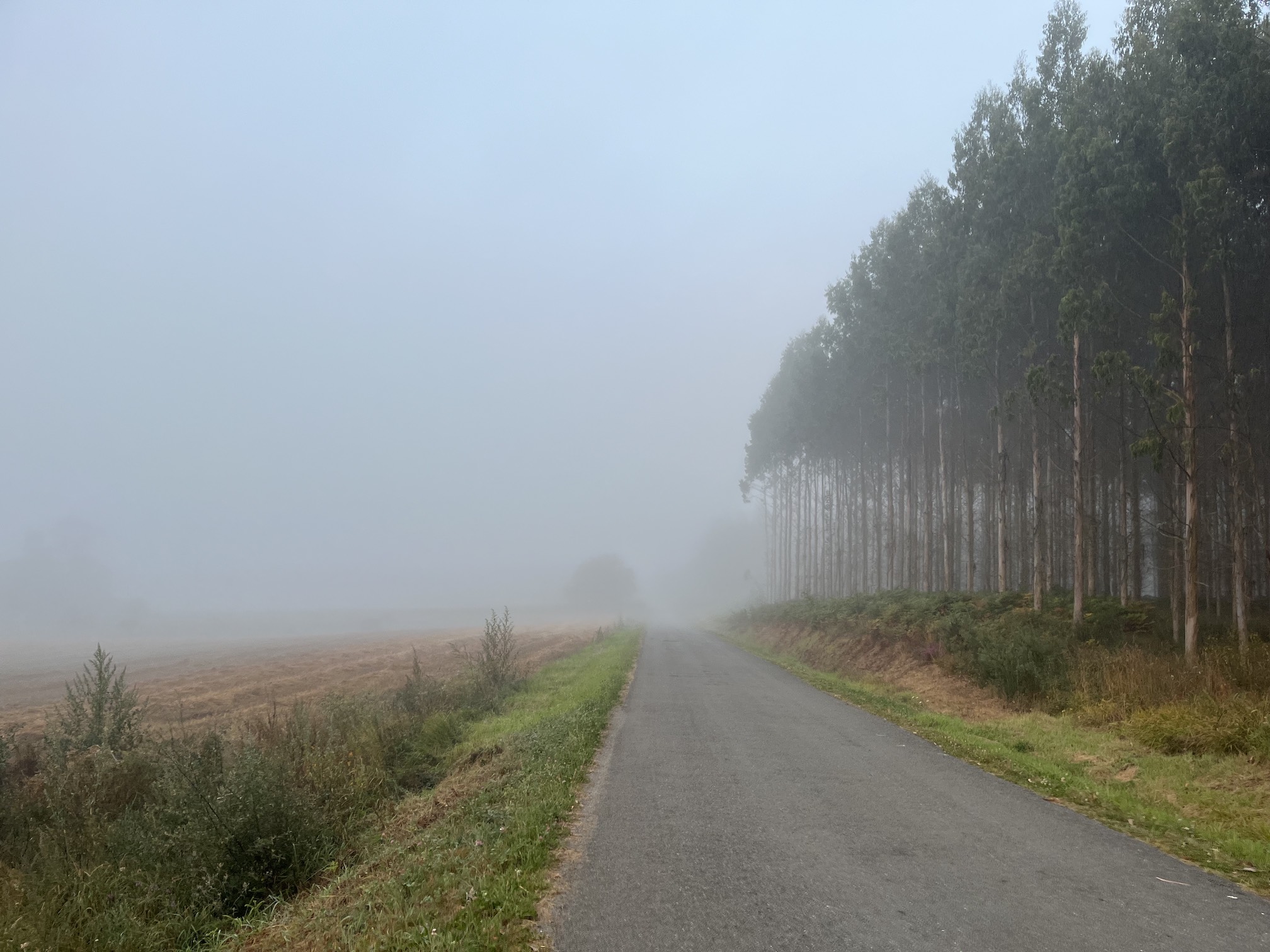 Camino de Santiago 2023 a very misty morning in Bruma
